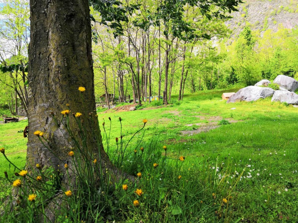 Agriturismo Val Codera Verceia エクステリア 写真