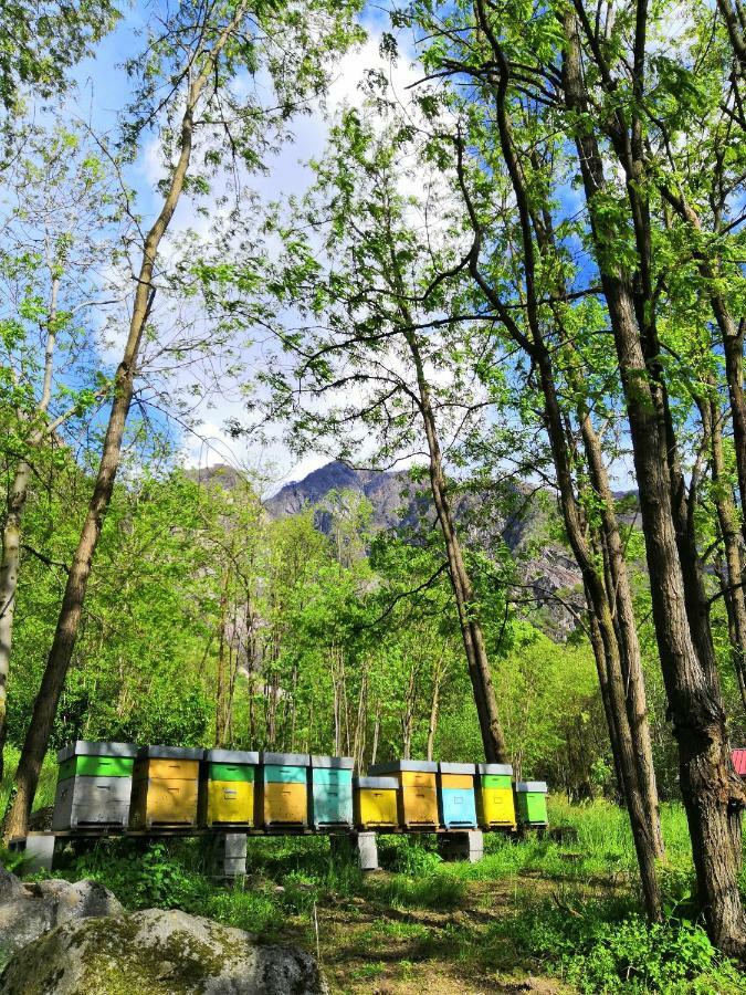 Agriturismo Val Codera Verceia エクステリア 写真