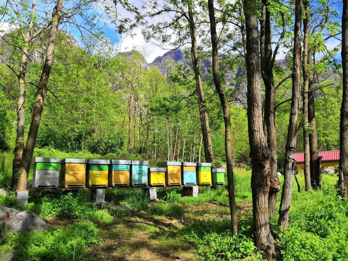 Agriturismo Val Codera Verceia エクステリア 写真