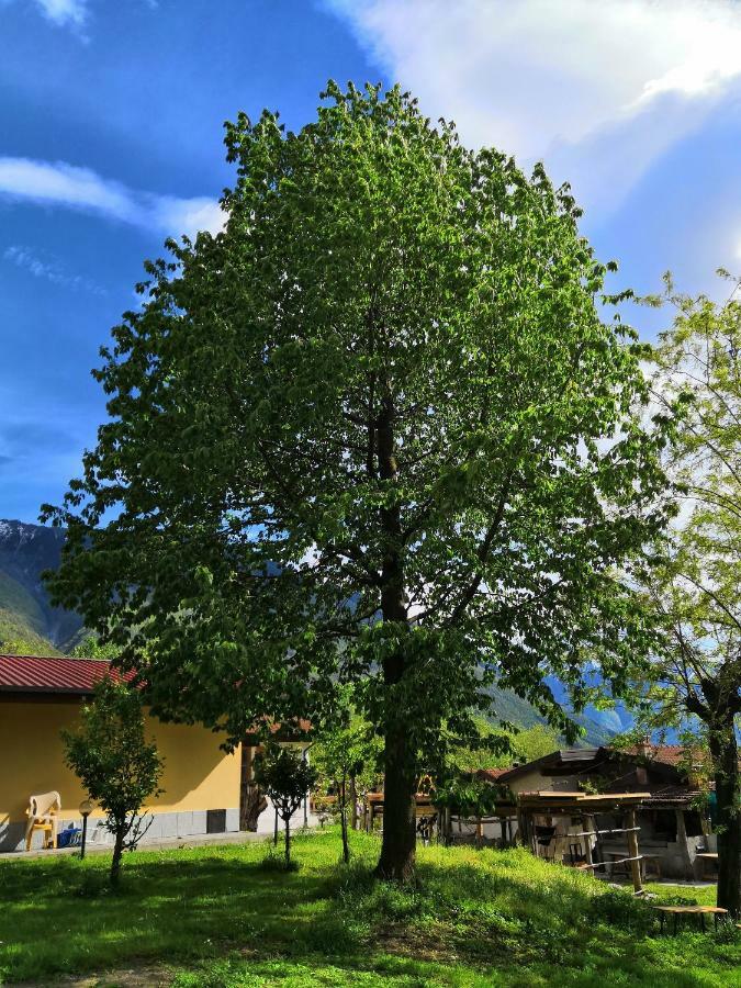 Agriturismo Val Codera Verceia エクステリア 写真